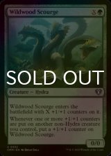 [FOIL] Wildwood Scourge 【ENG】 [CMM-Green-U]