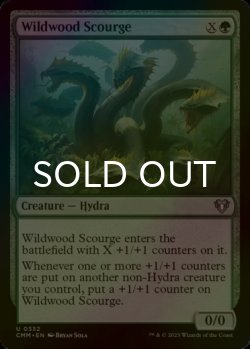 Photo1: [FOIL] Wildwood Scourge 【ENG】 [CMM-Green-U]