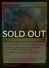 [FOIL] Thriving Bluff 【ENG】 [CMM-Land-C]