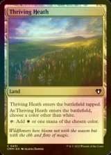 [FOIL] Thriving Heath 【ENG】 [CMM-Land-C]