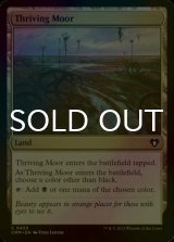 [FOIL] Thriving Moor 【ENG】 [CMM-Land-C]