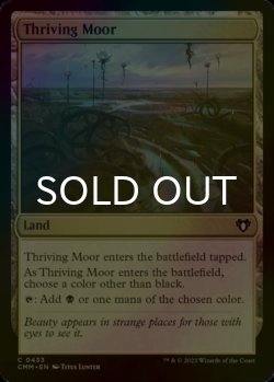 Photo1: [FOIL] Thriving Moor 【ENG】 [CMM-Land-C]