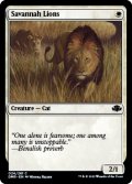Savannah Lions 【ENG】 [DMR-White-C]