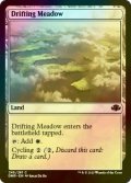 [FOIL] Drifting Meadow 【ENG】 [DMR-Land-C]