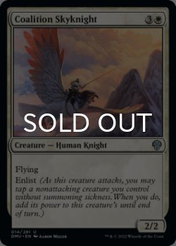 Photo1: Coalition Skyknight 【ENG】 [DMU-White-U]