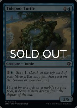 Photo1: Tidepool Turtle 【ENG】 [DMU-Blue-C]