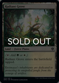 Photo1: Radiant Grove 【ENG】 [DMU-Land-C]