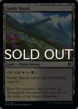 Sunlit Marsh 【ENG】 [DMU-Land-C]