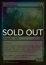 [FOIL] Coral Colony 【ENG】 [DMU-Blue-U]