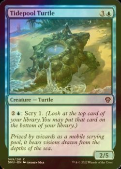 Photo1: [FOIL] Tidepool Turtle 【ENG】 [DMU-Blue-C]
