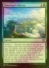 [FOIL] Slimefoot's Survey 【ENG】 [DMU-Green-U]