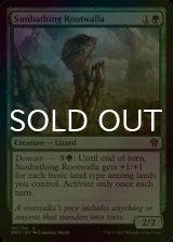 [FOIL] Sunbathing Rootwalla 【ENG】 [DMU-Green-C]