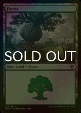 [FOIL] Forest No.275 【ENG】 [DMU-Land-C]