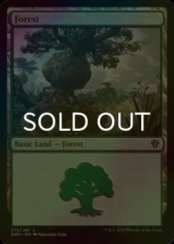 Photo1: [FOIL] Forest No.275 【ENG】 [DMU-Land-C]
