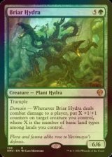 [FOIL] Briar Hydra 【ENG】 [DMU-Green-R]