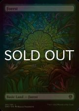 [FOIL] Forest No.281 (Full-Art) 【ENG】 [DMU-Land-C]