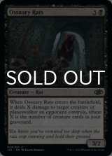 Ossuary Rats 【ENG】 [J22-Black-C]