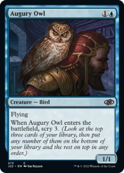 Photo1: Augury Owl 【ENG】 [J22-Blue-C]