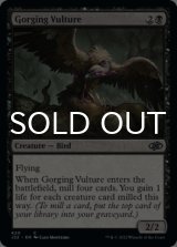 Gorging Vulture 【ENG】 [J22-Black-C]
