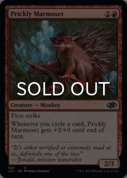 Photo1: Prickly Marmoset 【ENG】 [J22-Red-C]