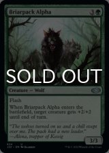 Briarpack Alpha 【ENG】 [J22-Green-U]