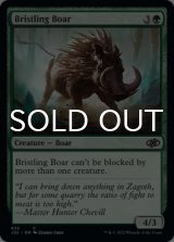 Bristling Boar 【ENG】 [J22-Green-C]