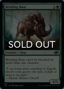 Photo1: Bristling Boar 【ENG】 [J22-Green-C]