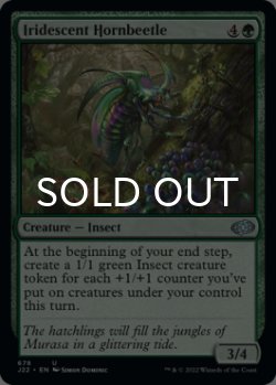 Photo1: Iridescent Hornbeetle 【ENG】 [J22-Green-U]