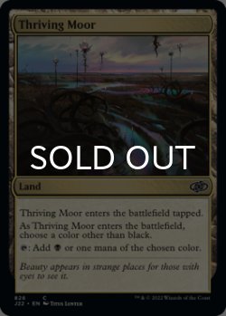 Photo1: Thriving Moor 【ENG】 [J22-Land-C]