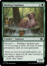 Basking Capybara 【ENG】 [LCI-Green-C]