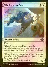 [FOIL] Mischievous Pup 【ENG】 [LCI-White-U]