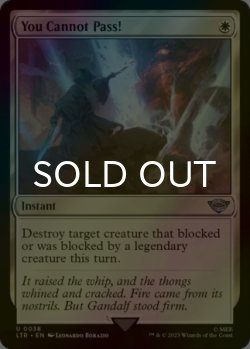Photo1: [FOIL] You Cannot Pass! 【ENG】 [LTR-White-U]