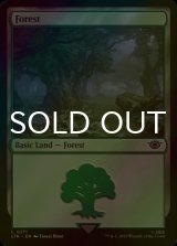 [FOIL] Forest No.271 【ENG】 [LTR-Land-C]