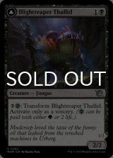 Blightreaper Thallid 【ENG】 [MOM-Black-U]