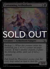 Consuming Aetherborn 【ENG】 [MOM-Black-C]