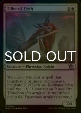 [FOIL] Tiller of Flesh 【ENG】 [MOM-White-U]