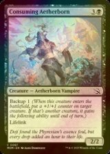 [FOIL] Consuming Aetherborn 【ENG】 [MOM-Black-C]