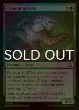 [FOIL] Chomping Kavu 【ENG】 [MOM-Green-C]