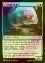 [FOIL] Overgrown Pest 【ENG】 [MOM-Green-C]