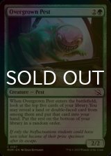 [FOIL] Overgrown Pest 【ENG】 [MOM-Green-C]