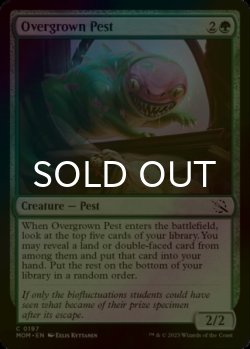 Photo1: [FOIL] Overgrown Pest 【ENG】 [MOM-Green-C]