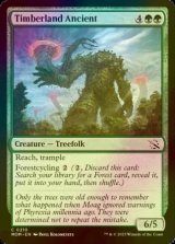[FOIL] Timberland Ancient 【ENG】 [MOM-Green-C]