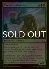 [FOIL] Timberland Ancient 【ENG】 [MOM-Green-C]