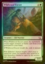 [FOIL] Wildwood Escort 【ENG】 [MOM-Green-C]