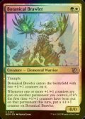 [FOIL] Botanical Brawler 【ENG】 [MOM-Multi-U]