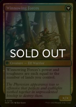 Photo3: [FOIL] Invasion of Lorwyn 【ENG】 [MOM-Multi-U]