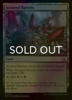 Photo1: [FOIL] Scoured Barrens 【ENG】 [MOM-Land-C]