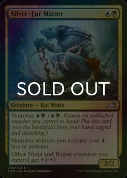 Photo1: [FOIL] Silver-Fur Master 【ENG】 [NEO-Multi-U]