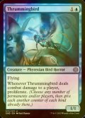 [FOIL] Thrummingbird 【ENG】 [ONE-Blue-U]