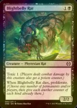 [FOIL] Blightbelly Rat 【ENG】 [ONE-Black-C]